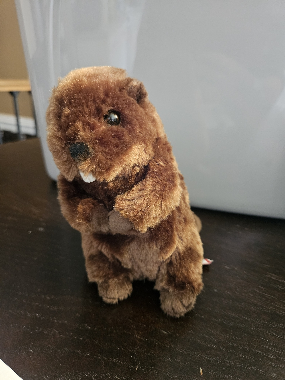 Dougle Cuddle 9" Beaver